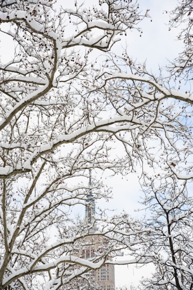 USA, New York, New York City, Empire State Building behind branches covered with snow.
