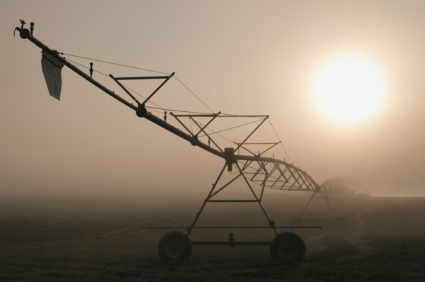 USA, Oregon, Marion County, Irrigation and fog. Photo : Gary Weathers