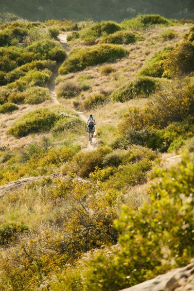 USA, California, Laguna Beach, Mountain bikers on trail.