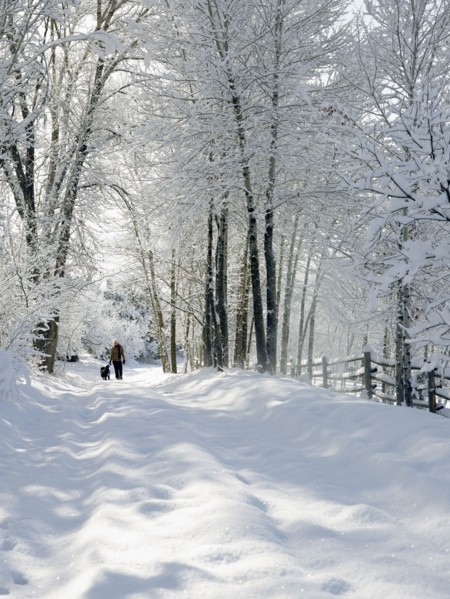 USA, Colorado, woman and dog on snowy road. Photo : John Kelly