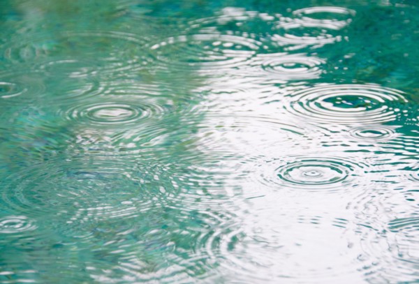 Raindrops on falling on pond surface. Photo : Jamie Grill Photography