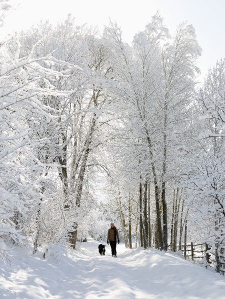 USA, Colorado, woman and dog on snowy road. Photo : John Kelly