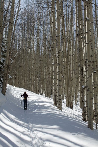 USA, Colorado, person hiking in forest. Photo : John Kelly