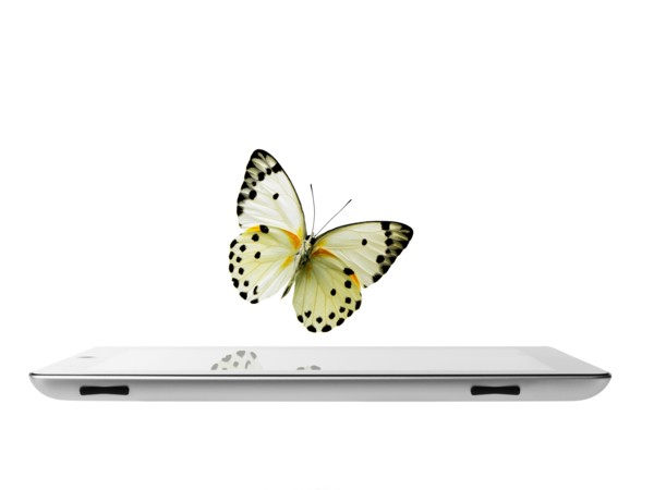 Studio shot of butterfly over digital tablet. Photo: David Arky