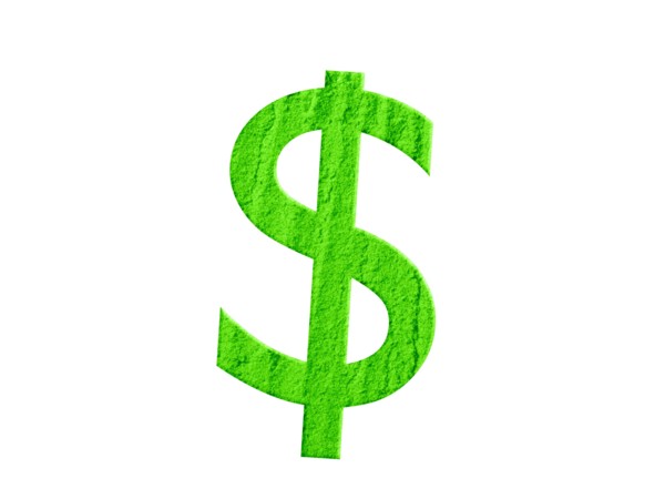 Studio shot of Wasabi Powder making US Dollar Sign on white background. Photo : David Arky