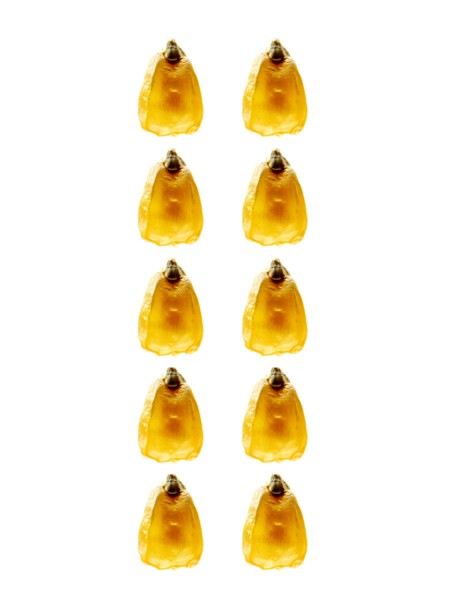 Studio shot of Yellow Corn Seeds on white background. Photo : David Arky