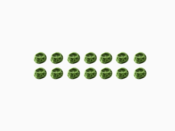 Studio shot of Pea Seeds on white background. Photo : David Arky