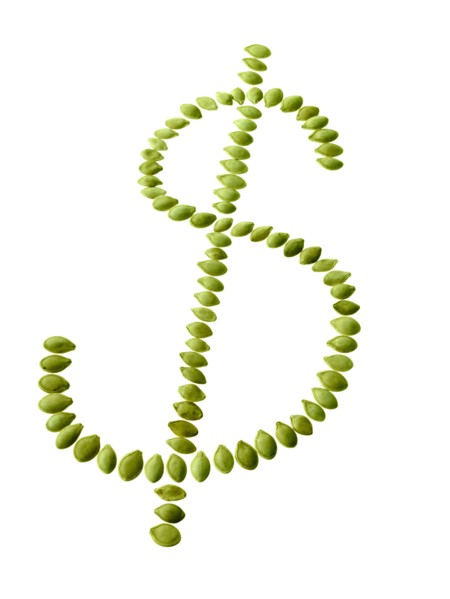 Studio shot of Bean Seeds making Dollar Sign on white background. Photo: David Arky