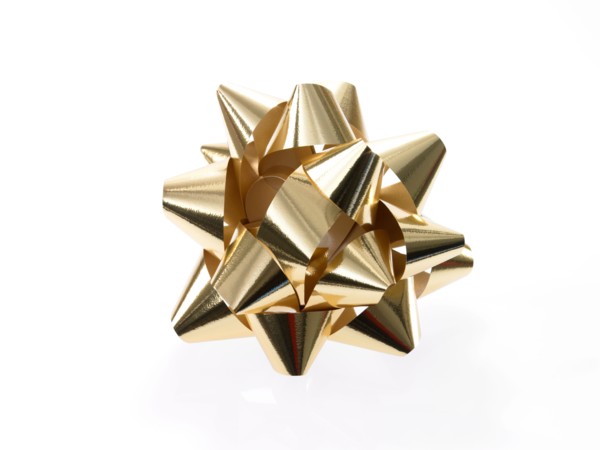 Studio shot of Gold Ribbon on white background. Photo : David Arky