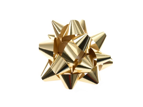 Studio shot of Gold Ribbon on white background. Photo : David Arky