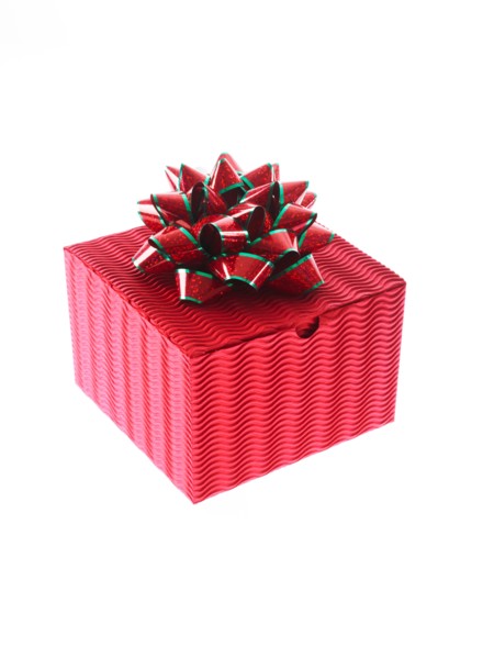 Studio shot of Red Box and Red and Green Ribbon on white background. Photo : David Arky