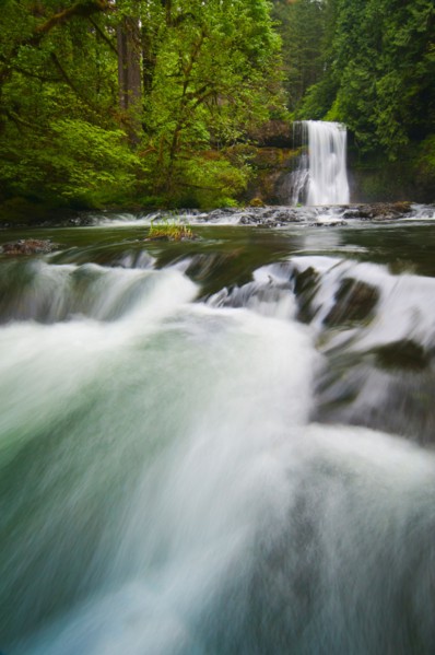 USA, Oregon, Silver Falls State Park, View of Upper North Falls. Photo : Gary J Weathers