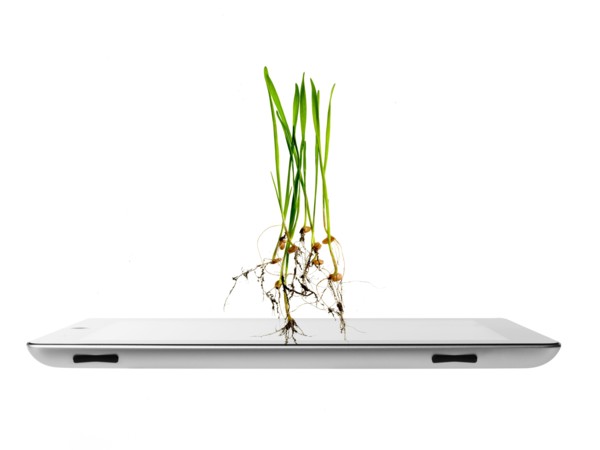 Studio shot of plants over digital tablet. Photo : David Arky