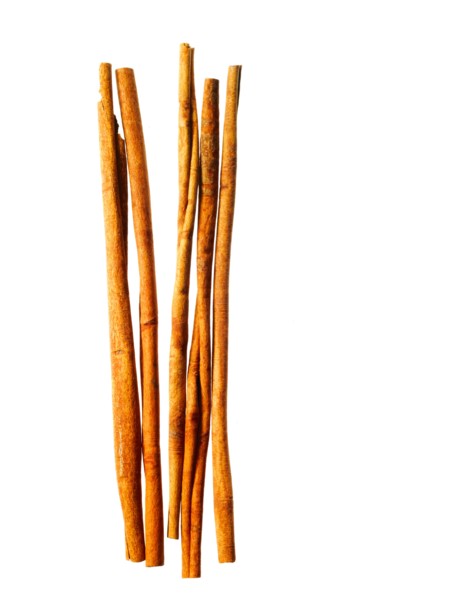 Studio shot of cinnamon sticks. Photo : David Arky