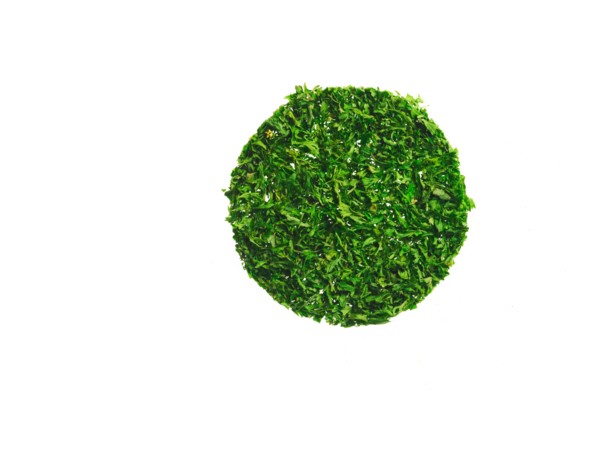 Studio shot of Parsley Flakes on white background. Photo : David Arky