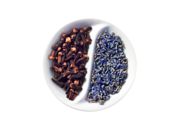 Studio shot of cloves and lavender flowers in Yin and Yang shape. Photo: David Arky