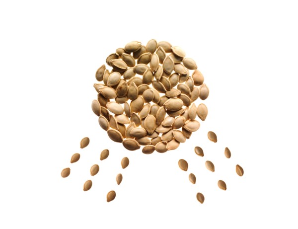 Studio shot of Pumpkin Seed in sun shape on white background. Photo : David Arky