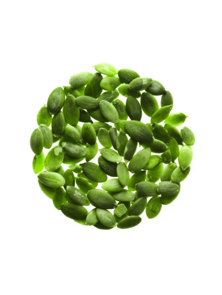 Studio shot of Pumpkin Seed on white background. Photo : David Arky