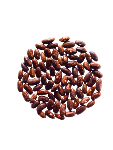 Studio shot of Red Bean Seeds on white background. Photo : David Arky