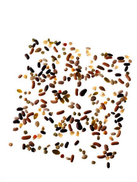 Studio shot of Mixed Seeds on white background. Photo : David Arky