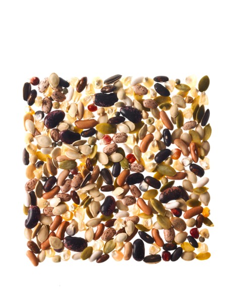 Studio shot of Mixed Seeds on white background. Photo : David Arky