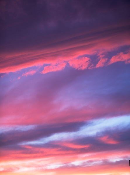 Colorful evening sky . Photo: fotog