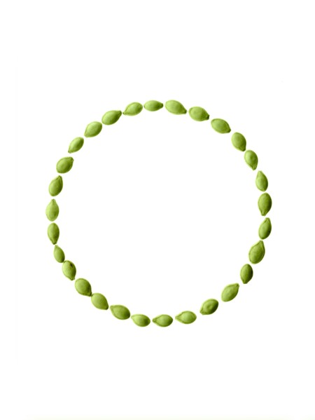 Studio shot of Pumpkin Seeds on white background. Photo : David Arky