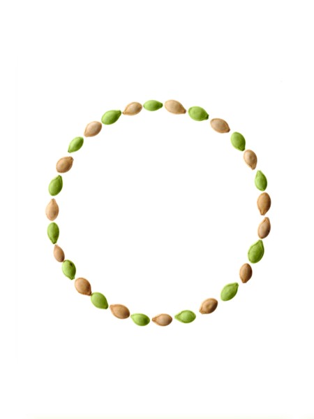 Studio shot of Pumpkin Seeds on white background. Photo : David Arky