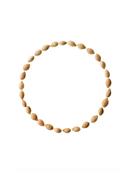 Studio shot of Pumpkin Seeds on white background. Photo : David Arky