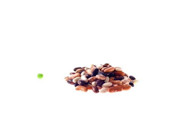 Studio shot of Mixed Seeds on white background. Photo : David Arky