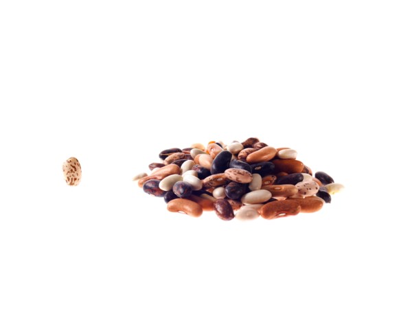 Studio shot of Mixed Seeds on white background. Photo : David Arky