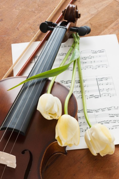 Violin and tulips on sheet music.
