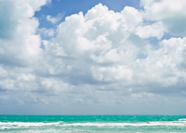 Landscape with sea. Photo : Jamie Grill