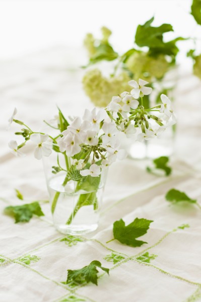 White flowers with green leaves in jars.