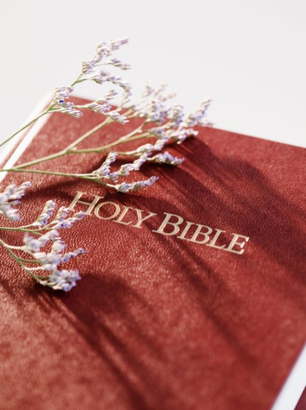 Bible and stem of lavender. Photo : Jamie Grill