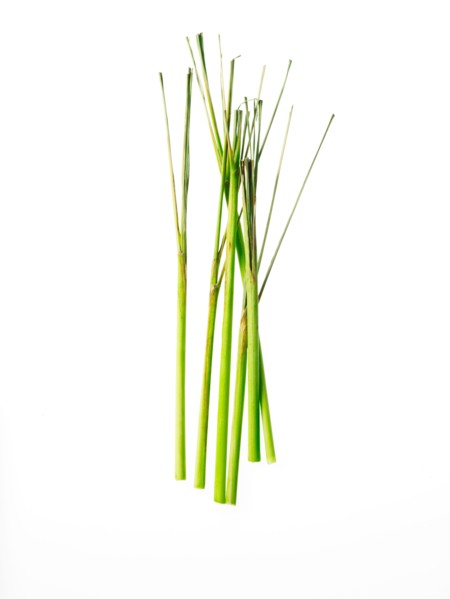 Studio shot of lemon grass. Photo: David Arky