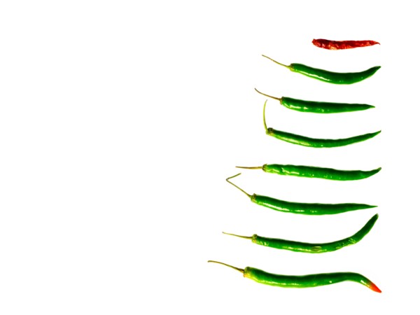 Studio shot of Green and Red Chili Peppers on white background. Photo : David Arky