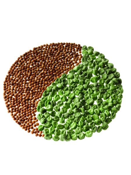 Studio shot of Cardamom Seeds and Pea Seeds making Yin Yang on white background. Photo : David Arky
