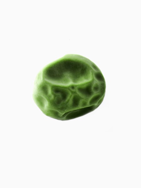 Studio shot of Pea Seed on white background. Photo : David Arky