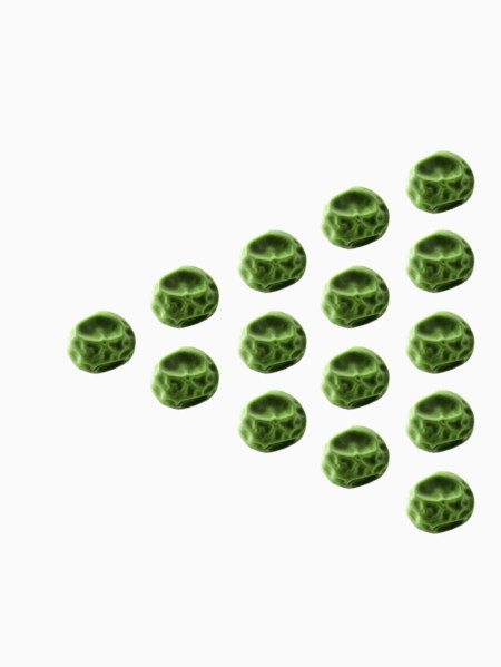 Studio shot of Pea Seeds on white background. Photo : David Arky
