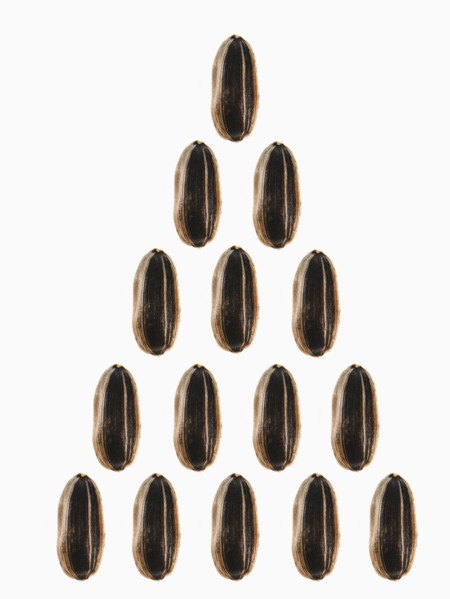 Studio shot of Sunflower Seeds on white background. Photo: David Arky