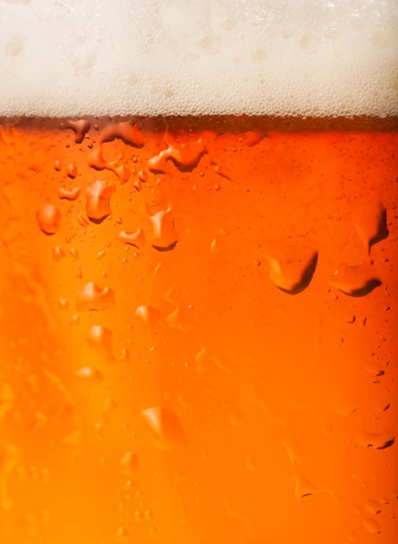Close-up of lager in glass.