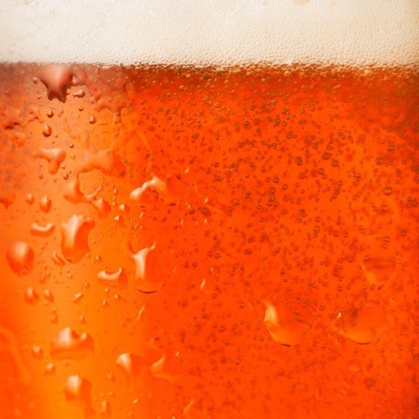 Close-up of lager in glass.