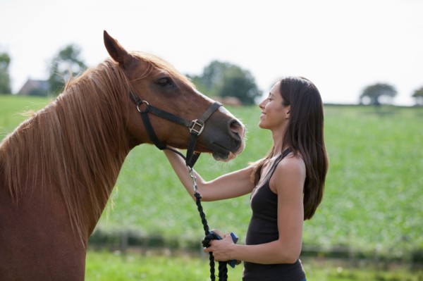 Young woman with horse in field. Photo : Jan Scherders