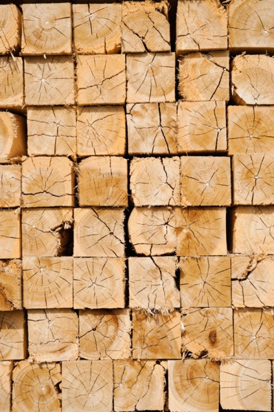 Full-frame shot of orderly timber stacks.