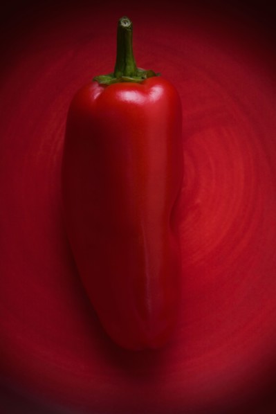 Studio shot of red chili pepper. Photo: Kristin Lee