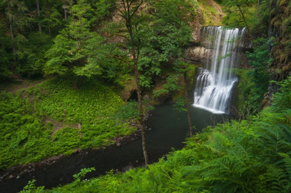 USA, Oregon, Silver Falls State Park, Lower South Falls. Photo : Gary J Weathers
