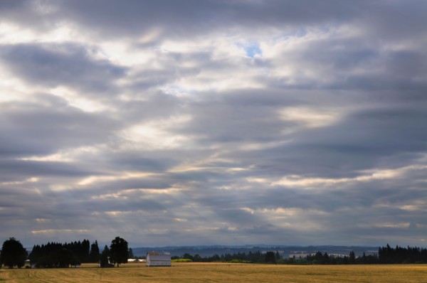 USA, Oregon, Marion County, Rural scene at sunrise. Photo : Gary J Weathers