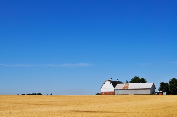 USA, Oregon, Marion County, Farm under blue sky. Photo : Gary J Weathers