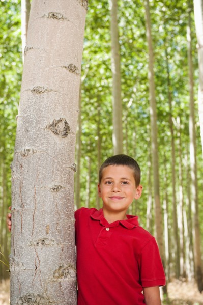 USA, Oregon, Boardman, Boy (8-9) standing between poplar trees in tree farm. Photo: Erik Isakson